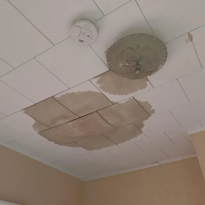 Ceiling Water Damage Repair in Half Moon, NC
