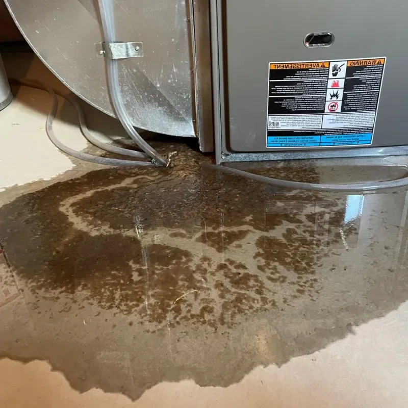 Pipe Burst and Leak Restoration in Half Moon, NC