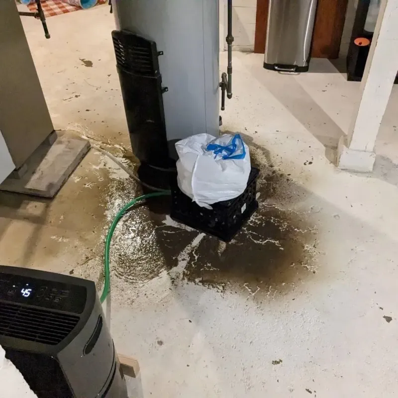 Sewage Backup Cleanup Service in Half Moon, NC